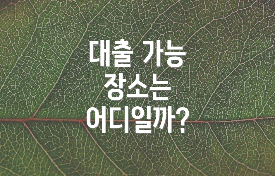 대출 가능 장소는 어디일까?