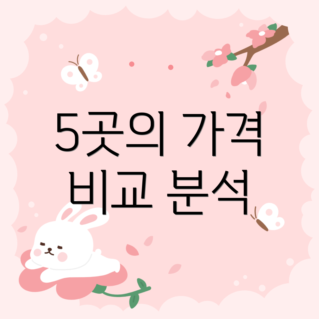 5곳의 가격 비교 분석