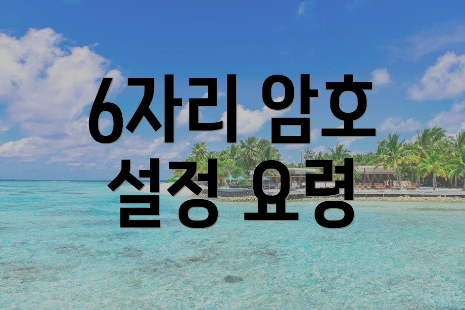 6자리 암호 설정 요령