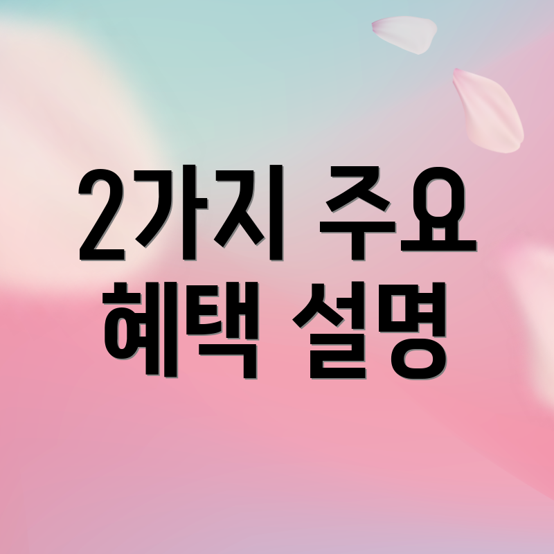 2가지 주요 혜택 설명