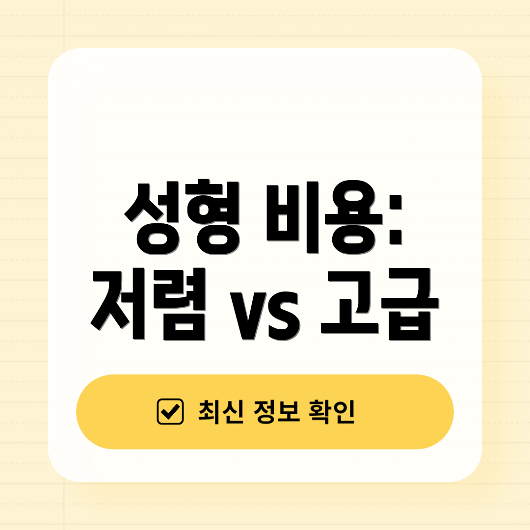 성형 비용: 저렴 vs 고급