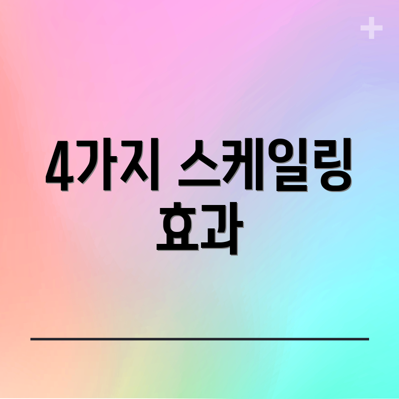 4가지 스케일링 효과