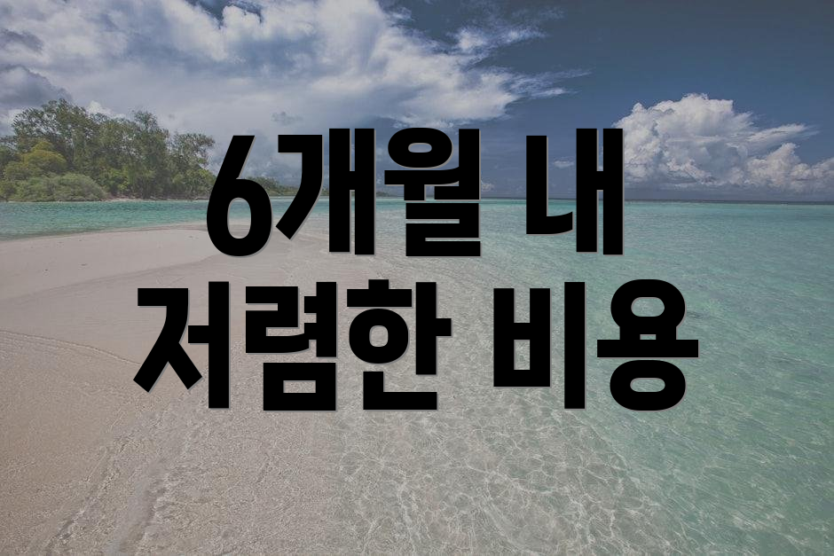 6개월 내 저렴한 비용