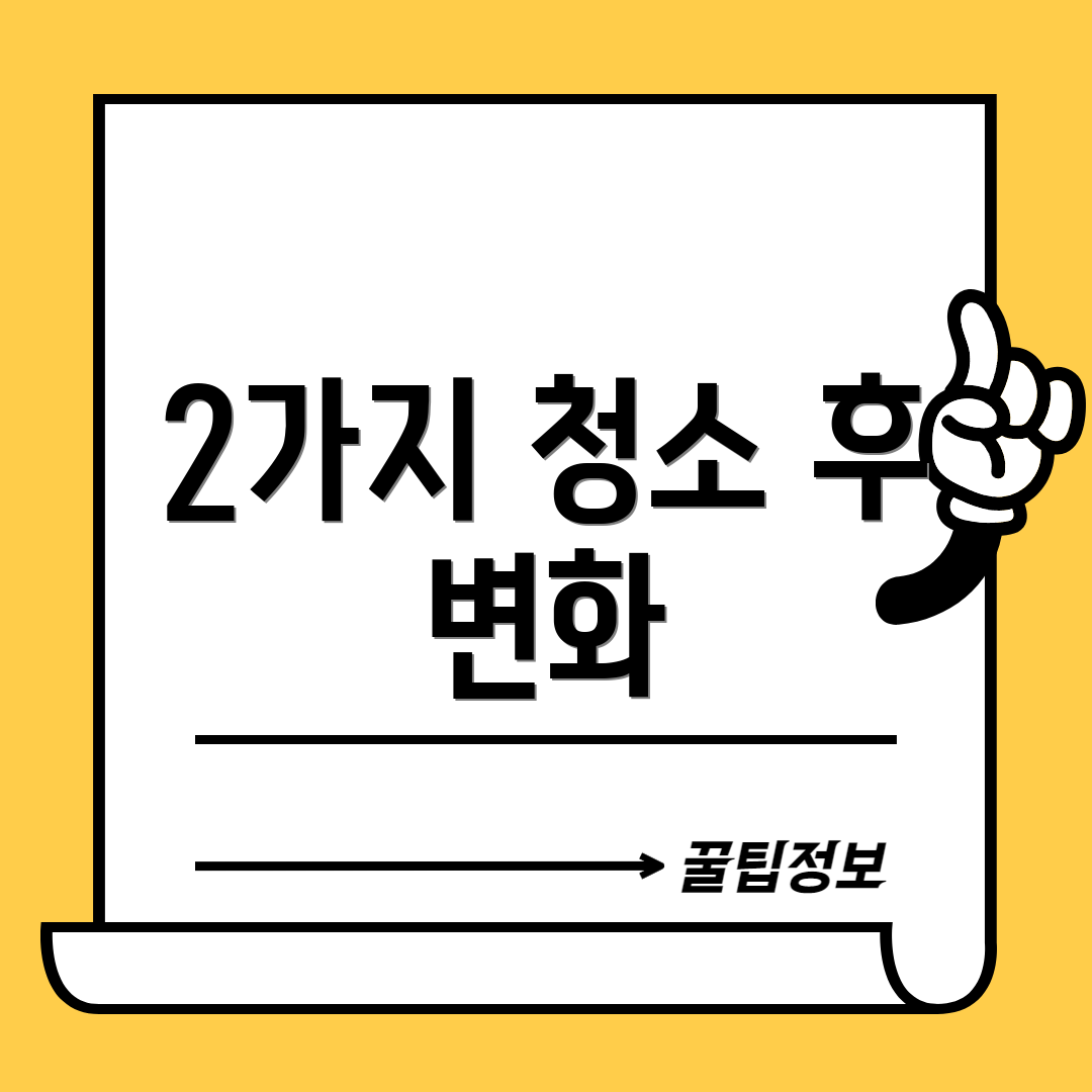 2가지 청소 후 변화