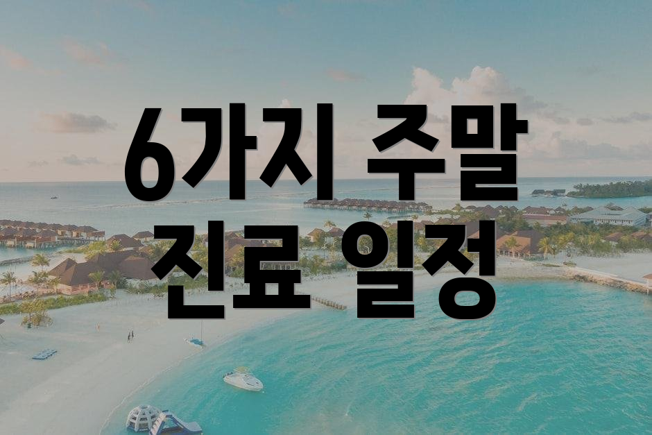 6가지 주말 진료 일정