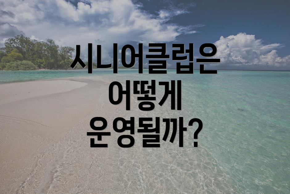 시니어클럽은 어떻게 운영될까?