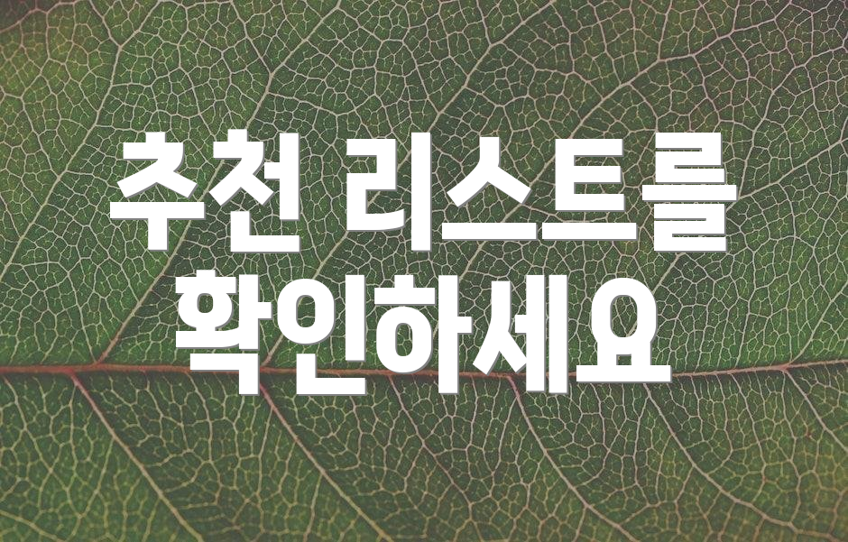 추천 리스트를 확인하세요