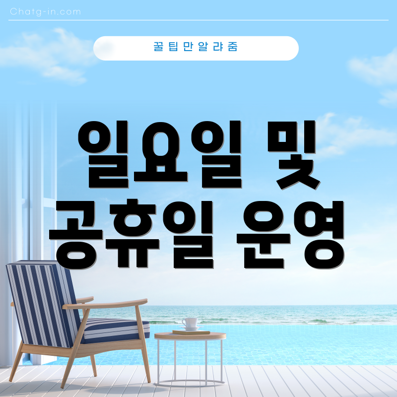 일요일 및 공휴일 운영