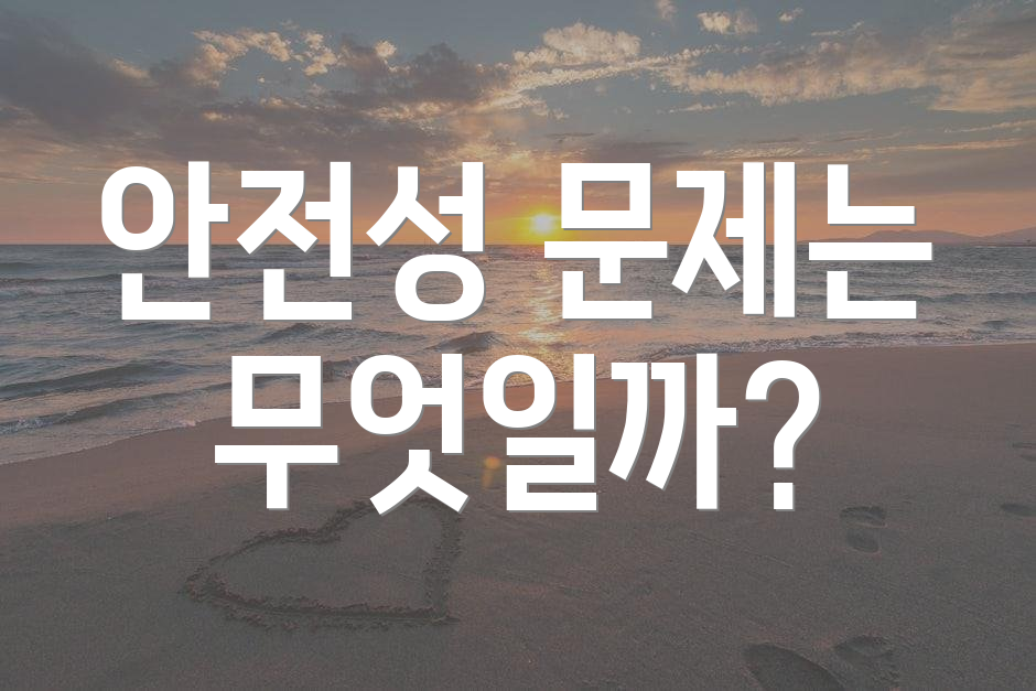 안전성 문제는 무엇일까?