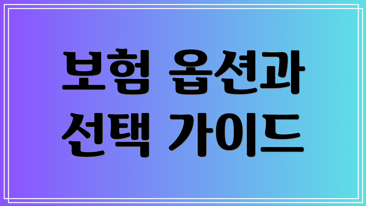 보험 옵션과 선택 가이드