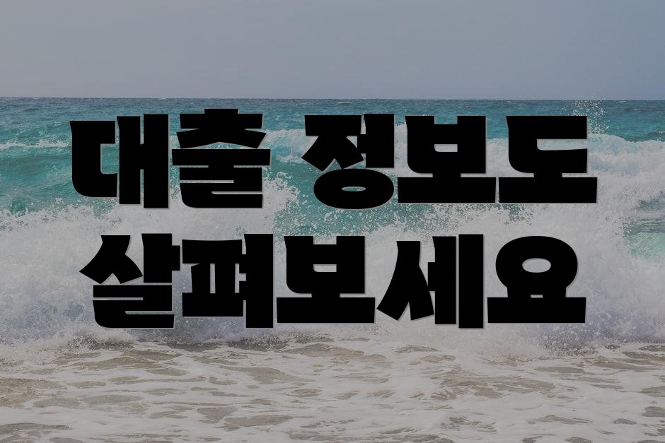 대출 정보도 살펴보세요