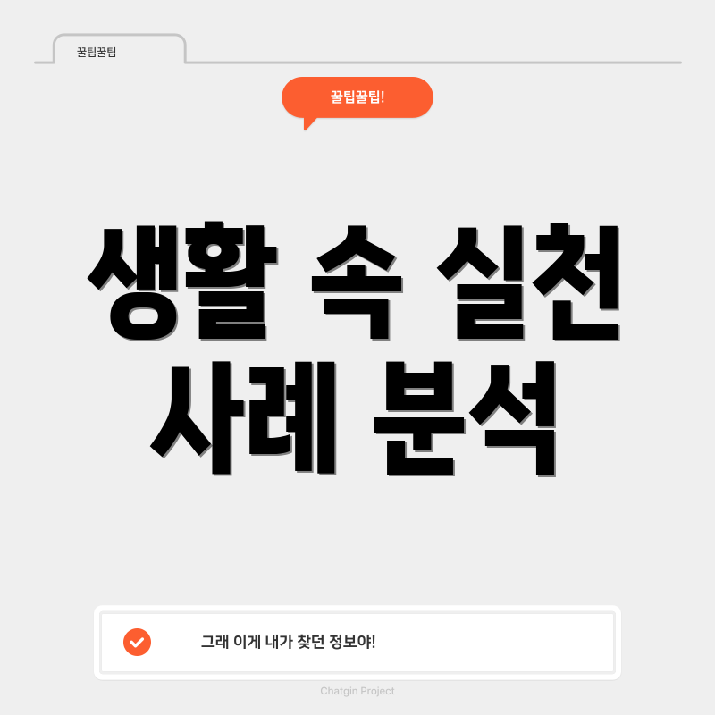 생활 속 실천 사례 분석