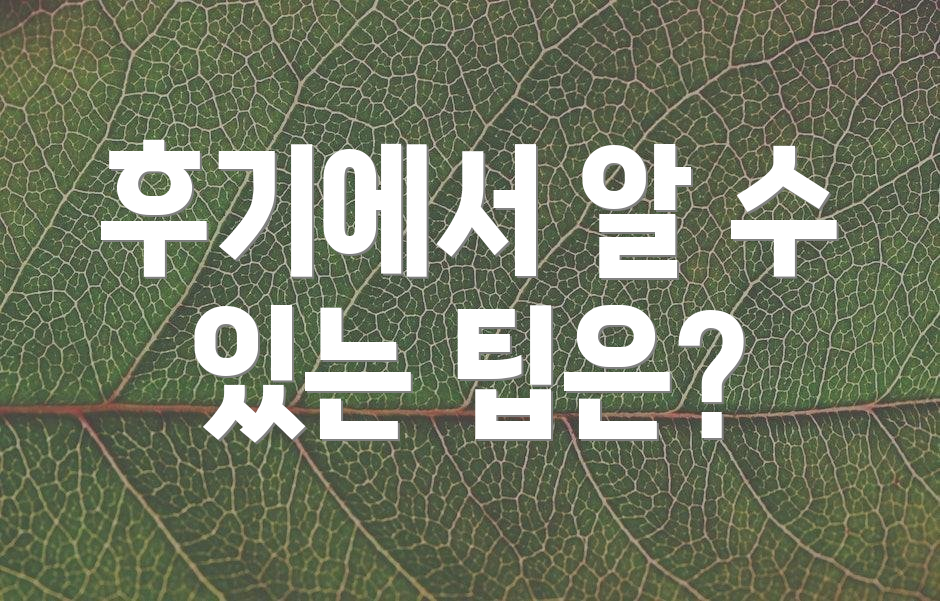 후기에서 알 수 있는 팁은?