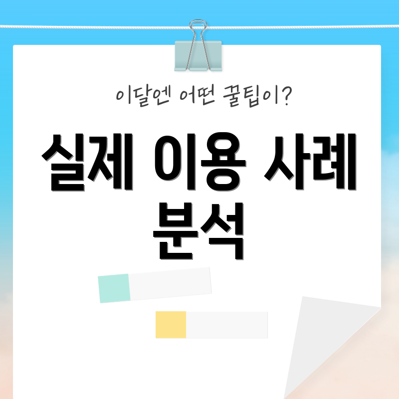 실제 이용 사례 분석