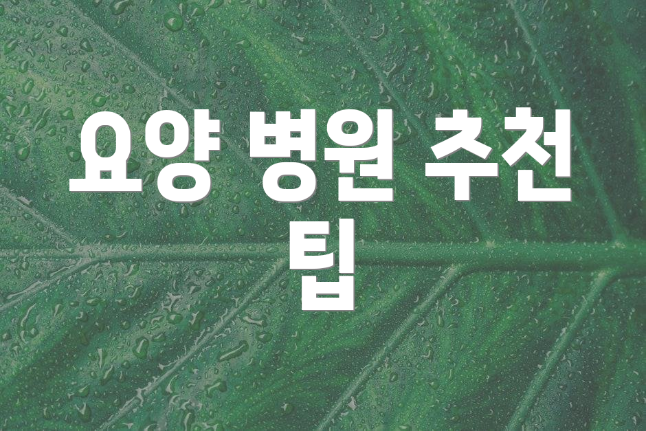 요양 병원 추천 팁