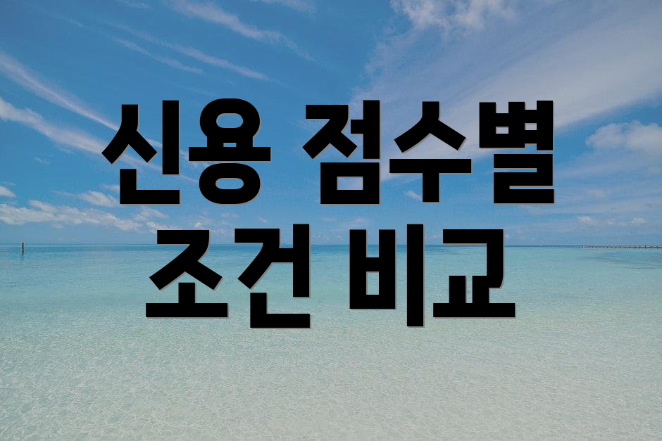 신용 점수별 조건 비교