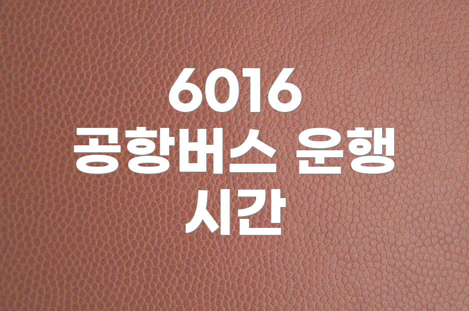 6016 공항버스 운행 시간