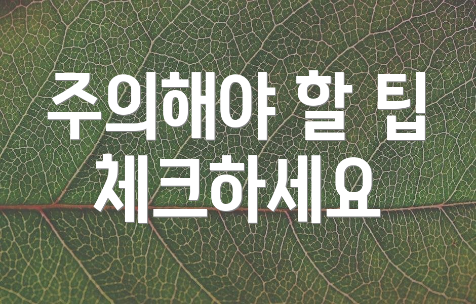 주의해야 할 팁 체크하세요