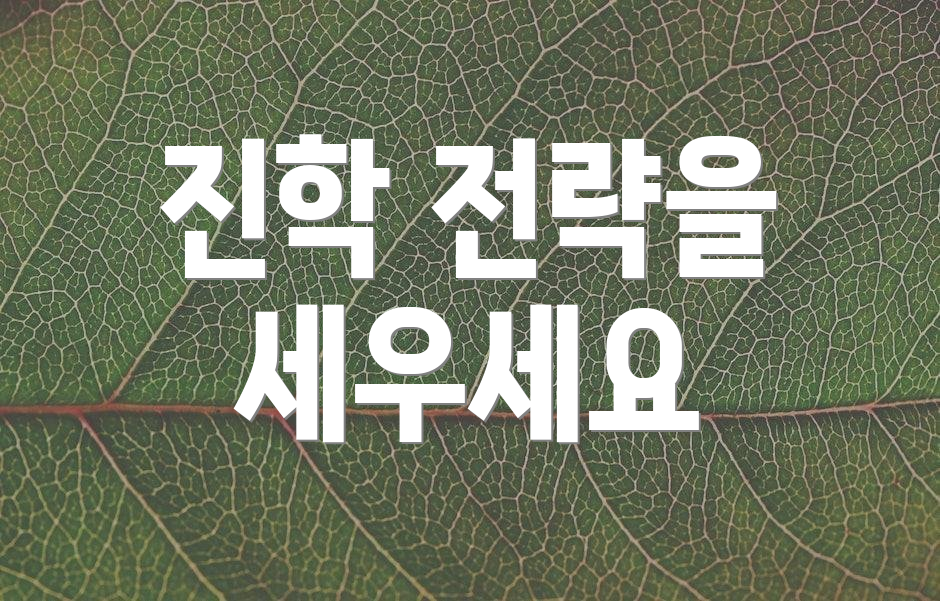 진학 전략을 세우세요