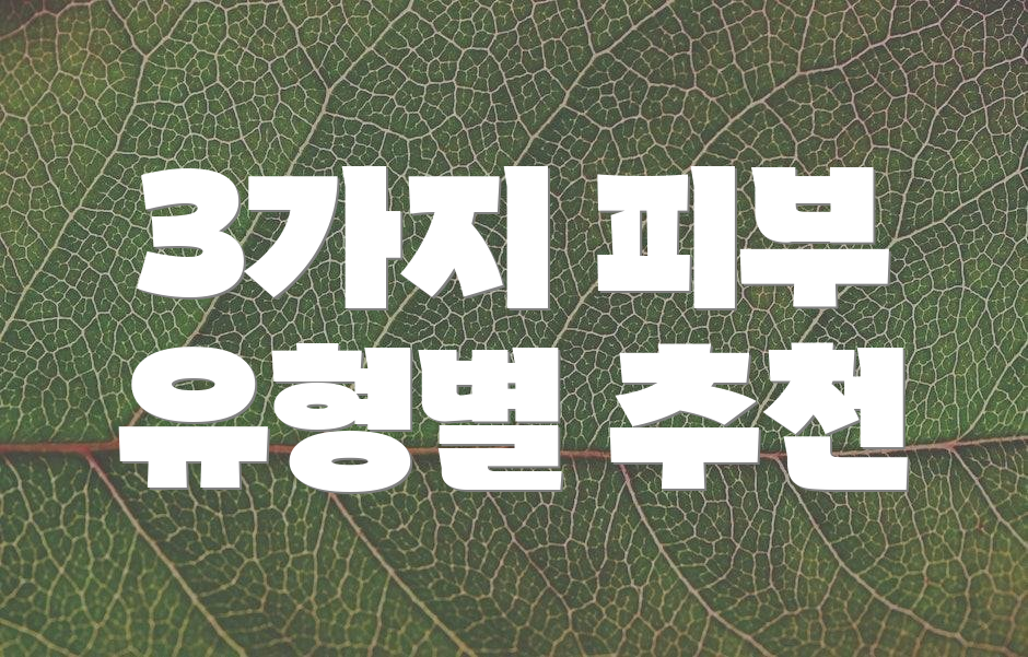 3가지 피부 유형별 추천