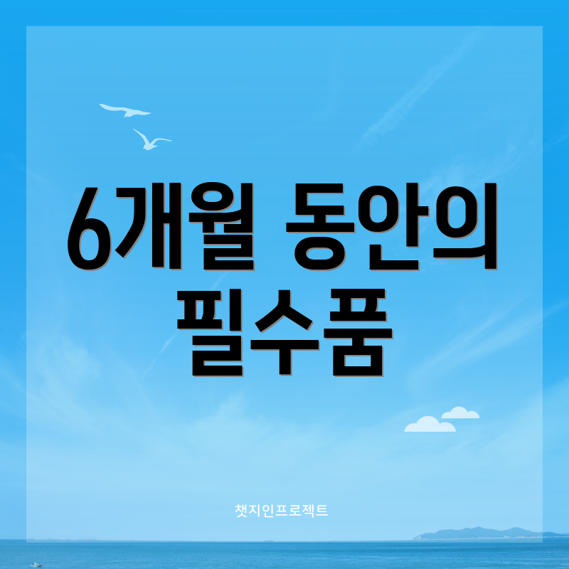 6개월 동안의 필수품