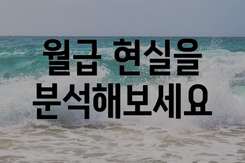 월급 현실을 분석해보세요