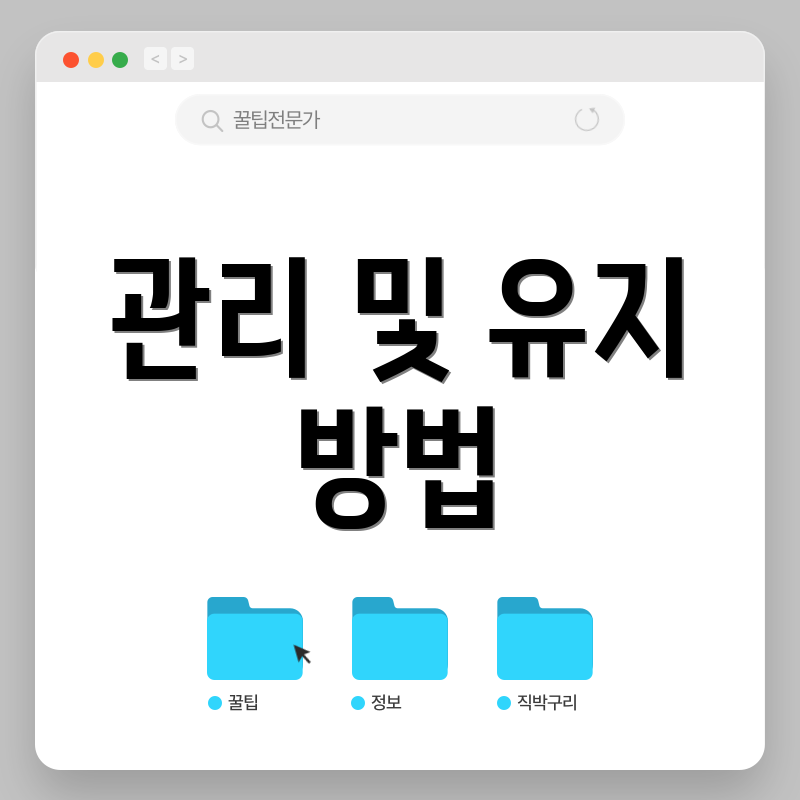 관리 및 유지 방법
