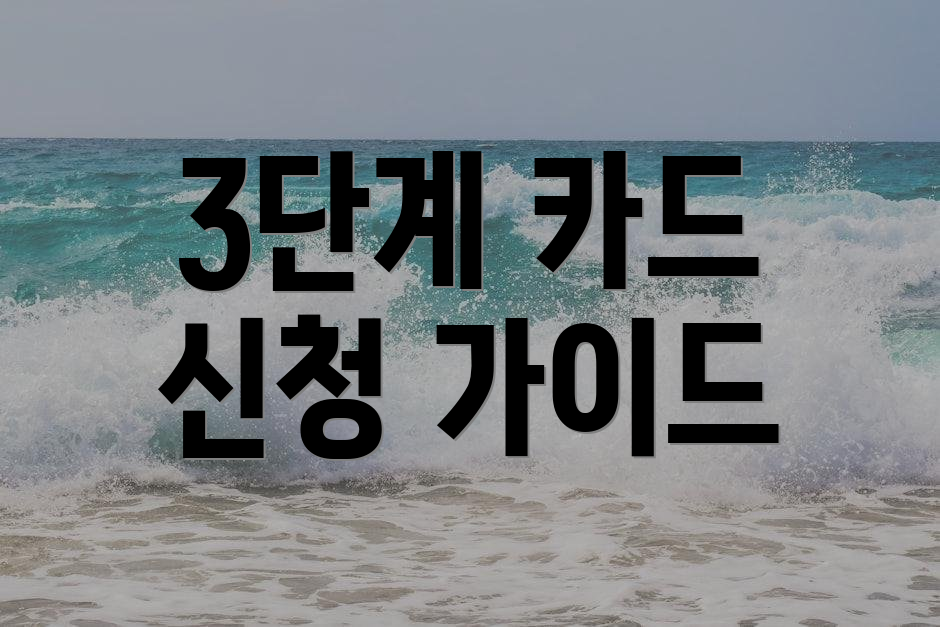 3단계 카드 신청 가이드