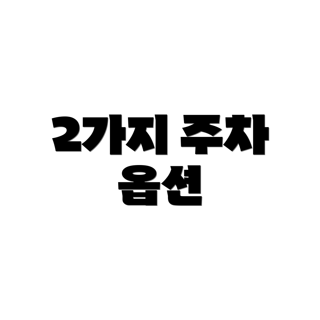 2가지 주차 옵션