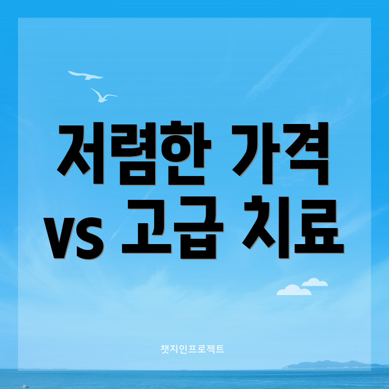 저렴한 가격 vs 고급 치료