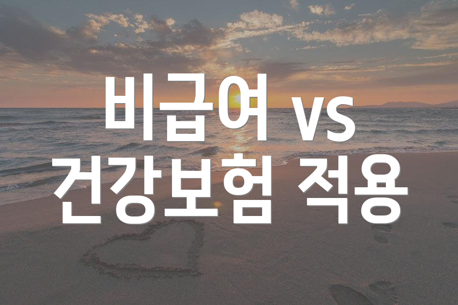 비급여 vs 건강보험 적용