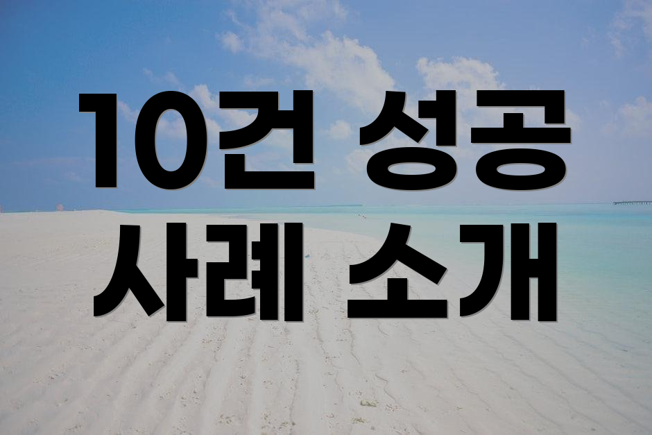 10건 성공 사례 소개