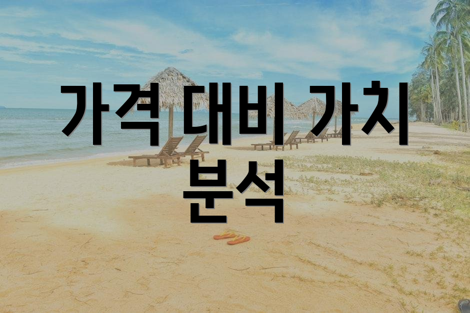 가격 대비 가치 분석