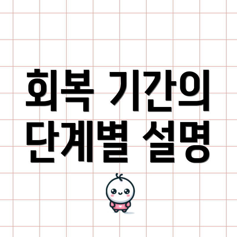 회복 기간의 단계별 설명