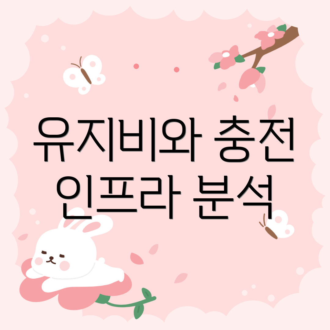유지비와 충전 인프라 분석