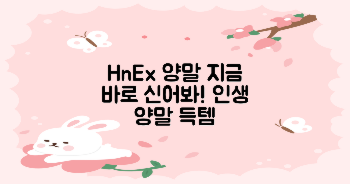 지금 바로 HnEx 양말로 갈아 신으세요