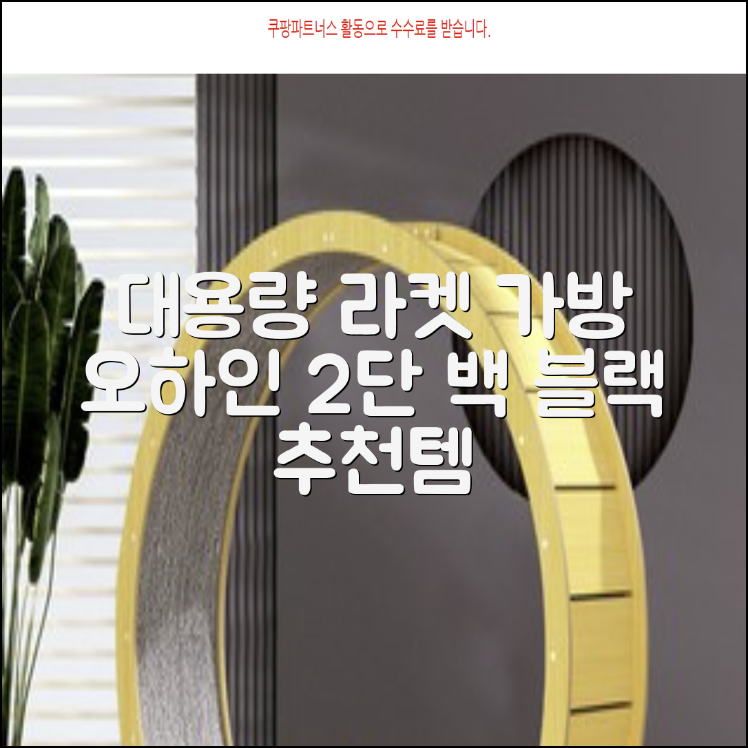 오하인 배드민턴 테니스 스쿼시 2단 대용량 라켓 가방, 블랙, 1개 추천 리뷰