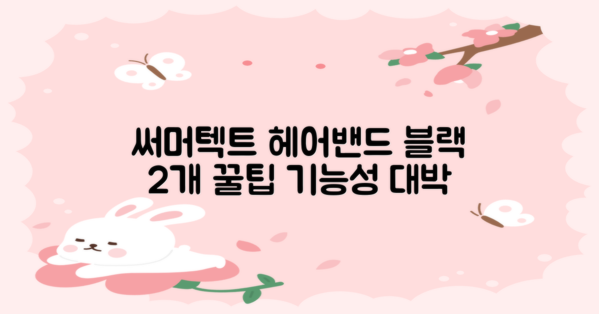 써머텍트 기능성 헤어밴드, 블랙, 2개 추천 리뷰